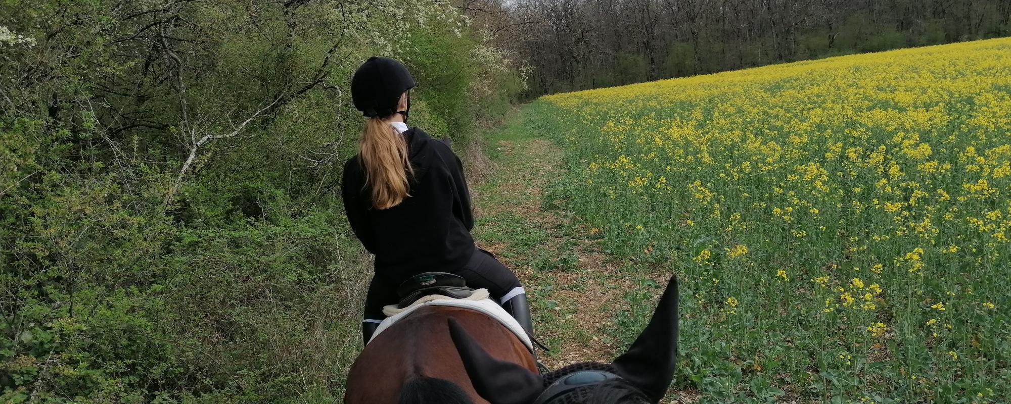 Les balades et rando sont de retour avec ce beau temps. N'hésitez pas à prendre rdv 